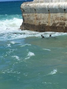 IMG_1448